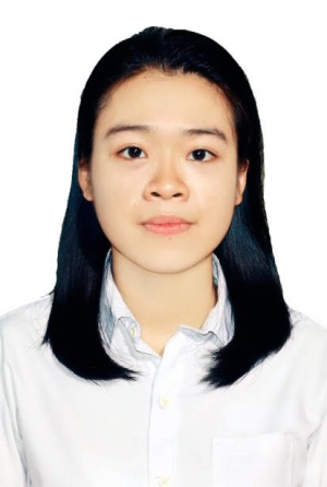 Vũ Việt Hà 