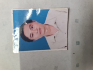 Nguyễn mạnh hà
