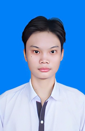 Lê Đình Minh Anh