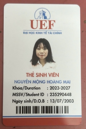 Nguyễn Mộng Hoàng Mai